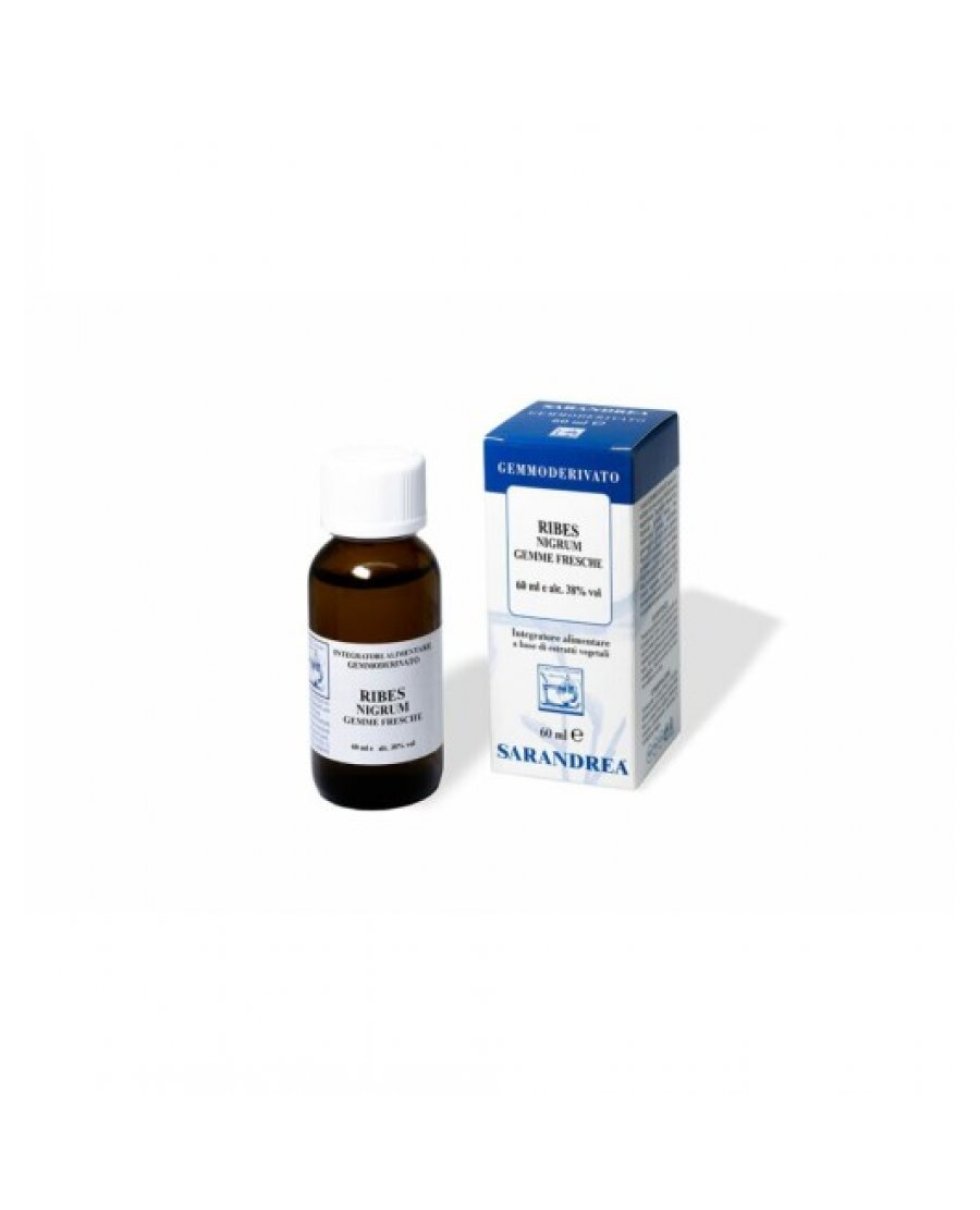 RIBES NIGRUM 60ML MG