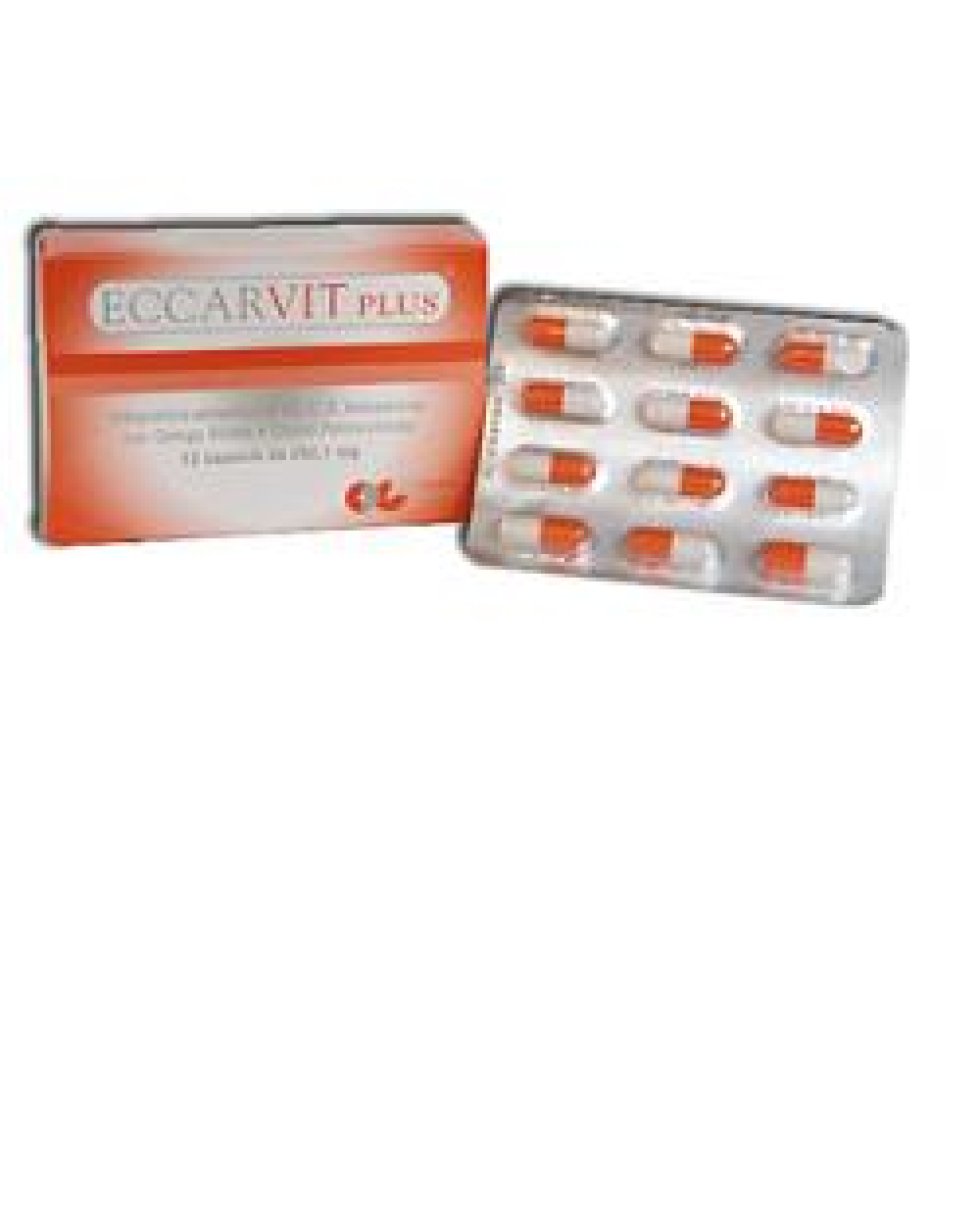 ECCARVIT-PLUS INTEG 12 CPS