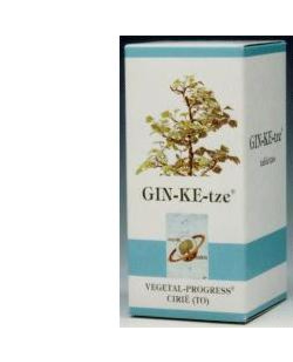 GINKETZE BIO 80TAV 600MG