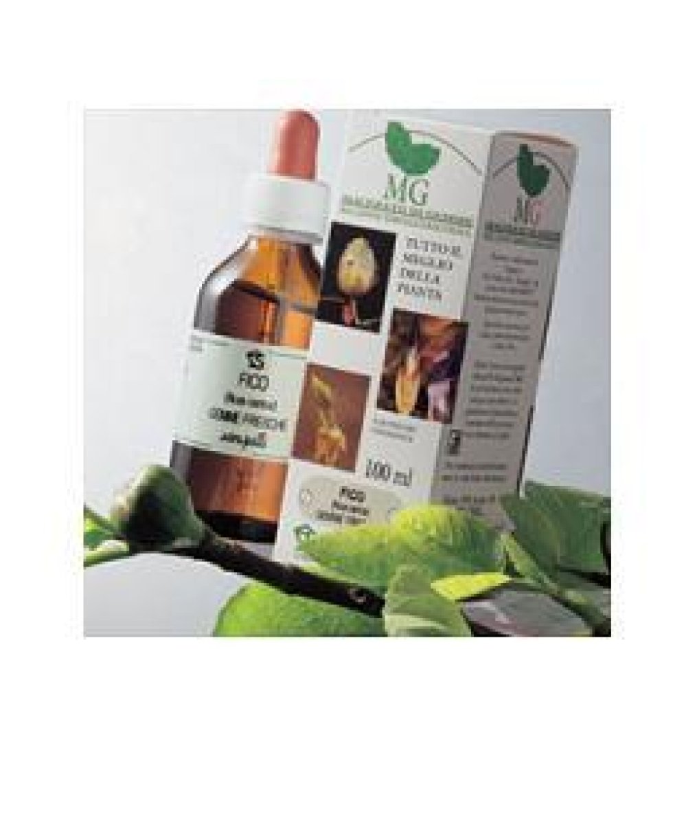 BETULA VERRUCOSA 100ML MG