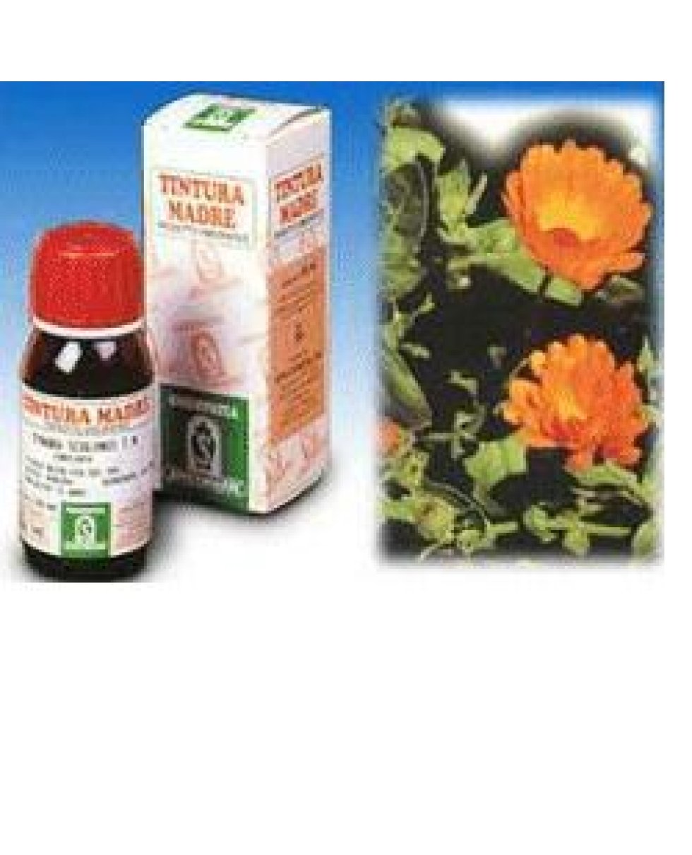 CALENDULA OFF 5 50ML TM