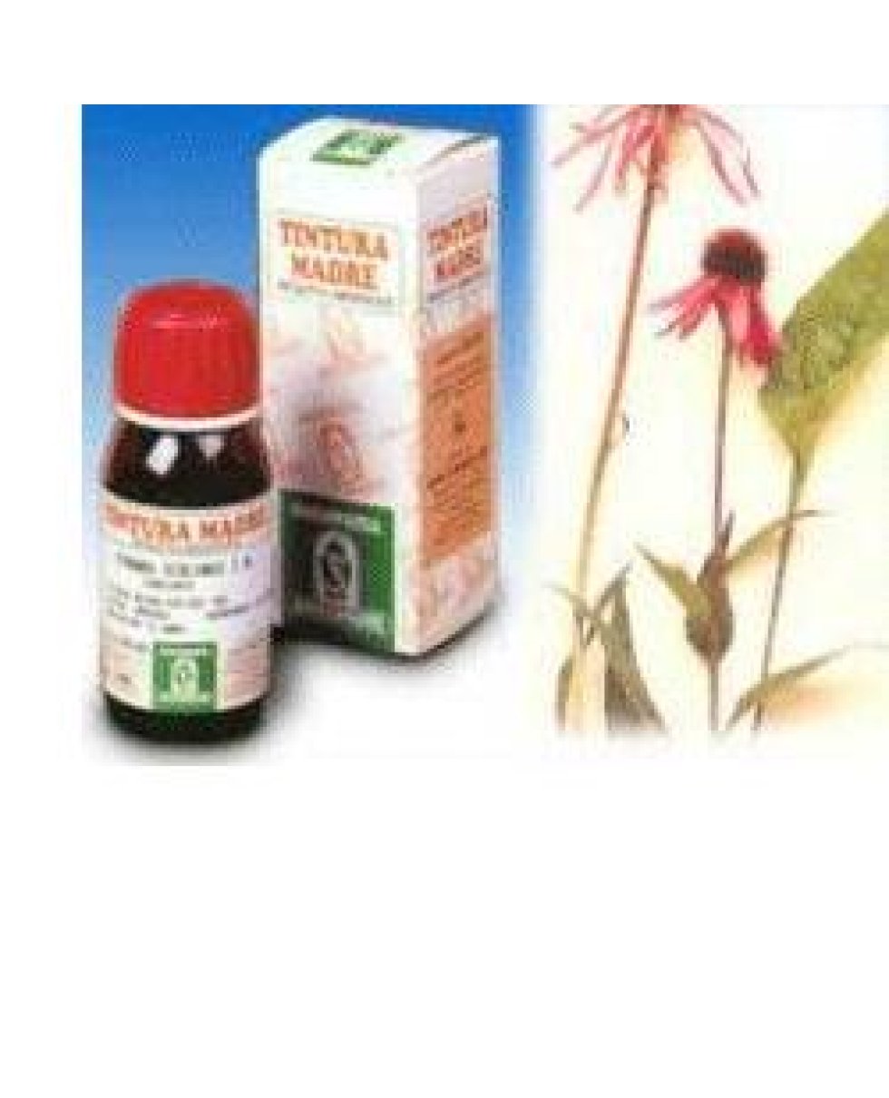 ECHINACEA 59 50ML TM