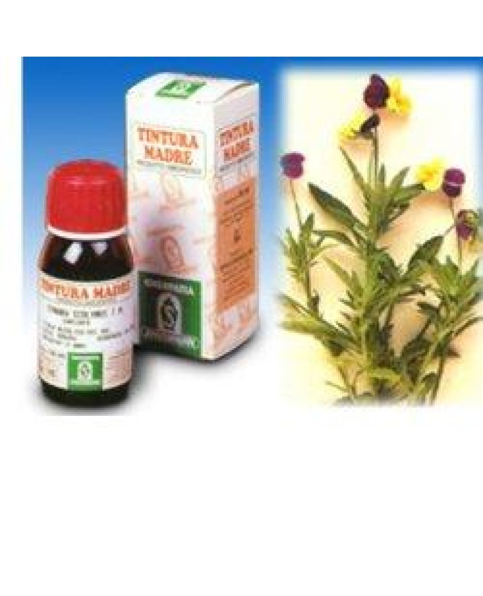 SP.VIOLA TRICOLOR TM 50ml