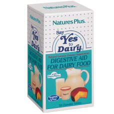 SAY YES TO DAIRY LATTASI 50TAV