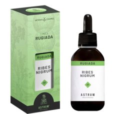 RIBES NERO 50ML (RUG.DI PIANTA