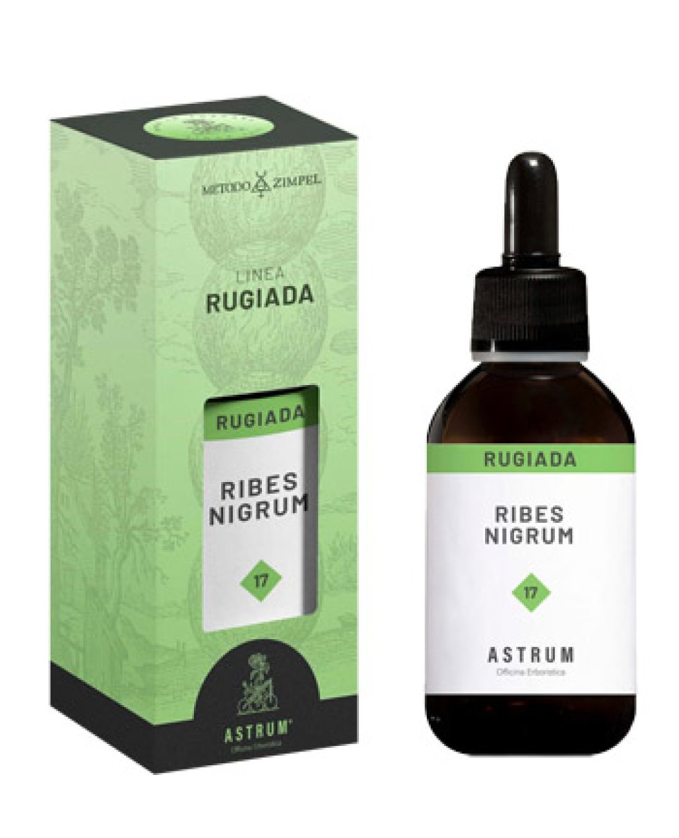 RIBES NERO 50ML (RUG.DI PIANTA