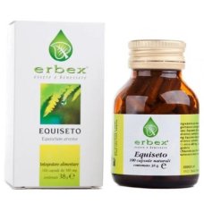 EQUISETO 100CPS 380MG ERBEX