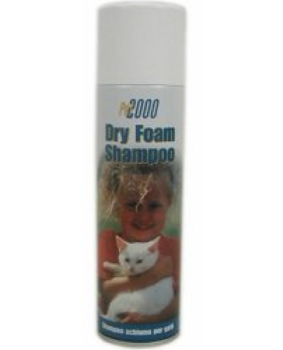 DRY FOAM SH GATTI 250ML