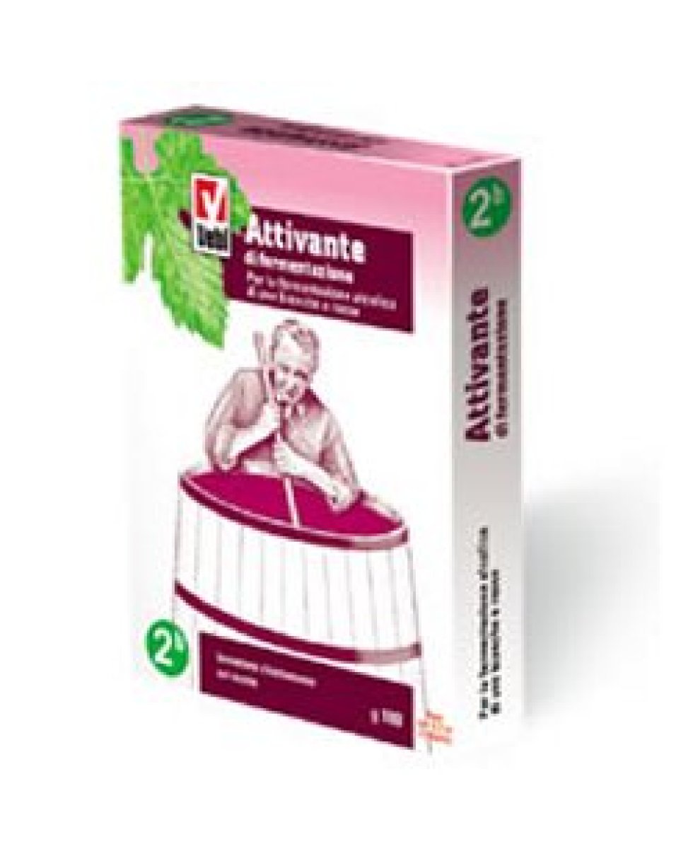 ATTIVANTE FERMENTAZIONE 100G