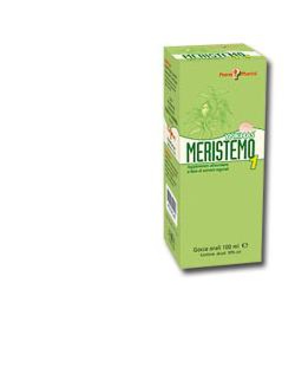 MERISTEMO INKAS 1 100ML