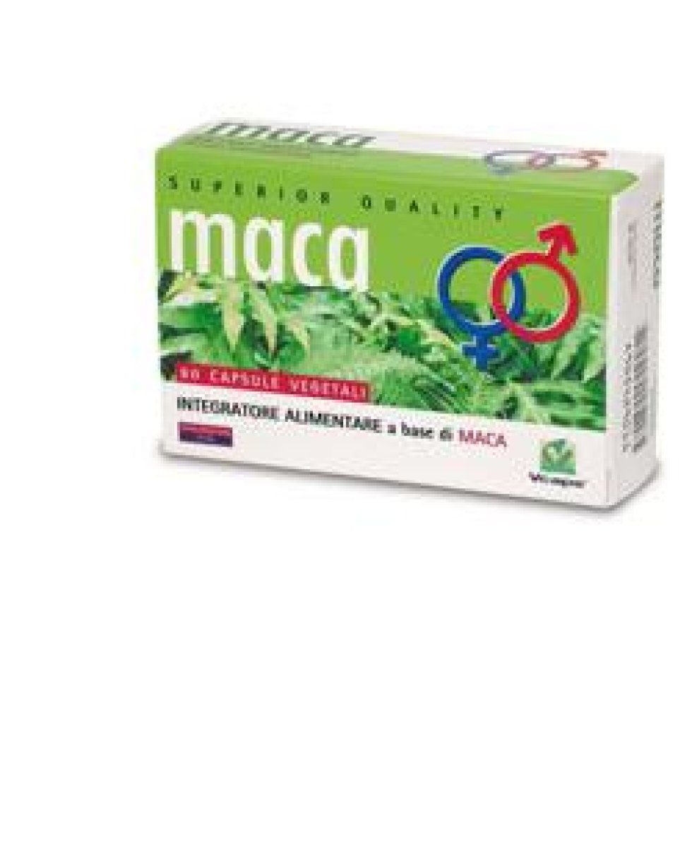 MACA SPORT 60CPS VITAL