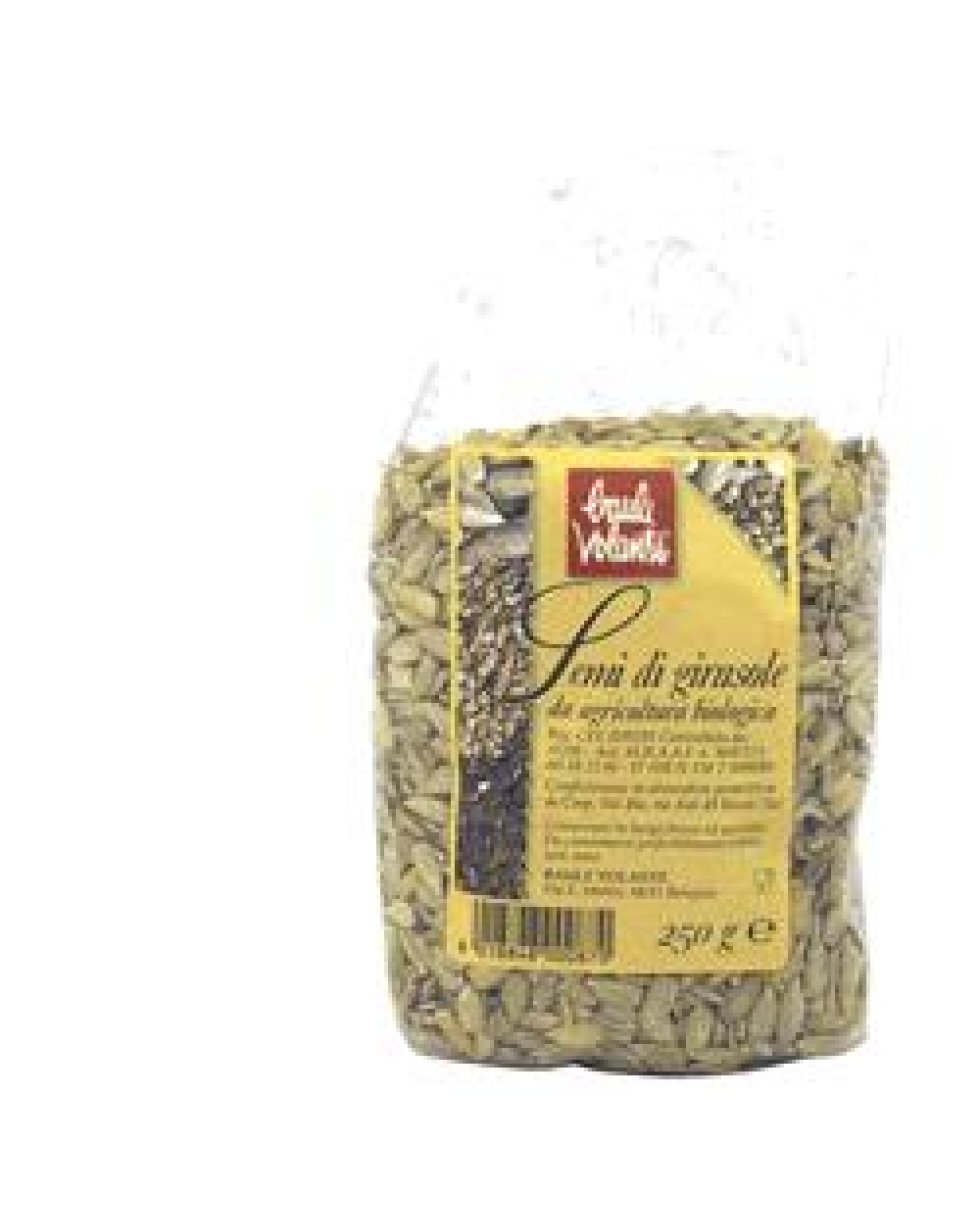 BAULE Semi Girasole Sgusc.250g