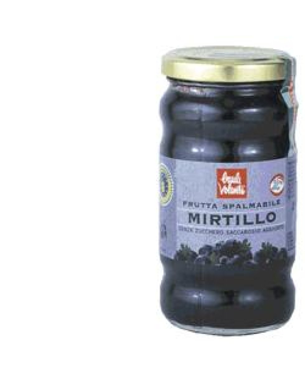 FRUTTA SPALMAB MIRTILLO 280G