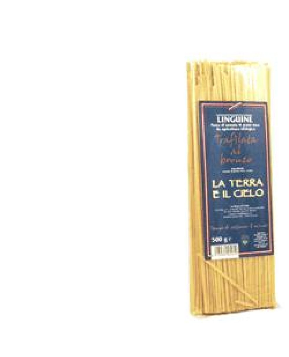 ALCE Linguine Traf.Bronzo 500g