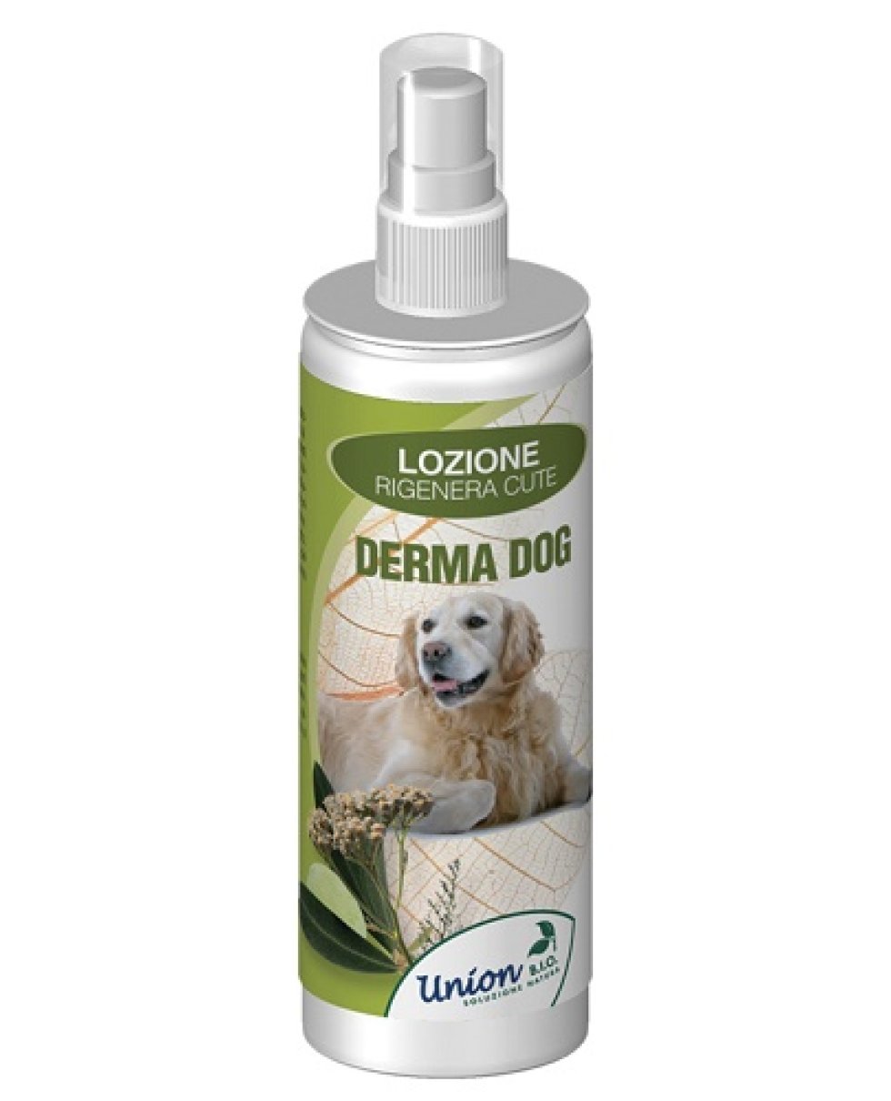 DERMA DOG LOZ RIGEN CUTE 125 M