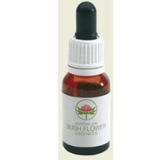 GREEN SPIDER ORCHID AUSTR 15ML