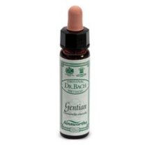 AINSWORTHS GENTIAN 10ML