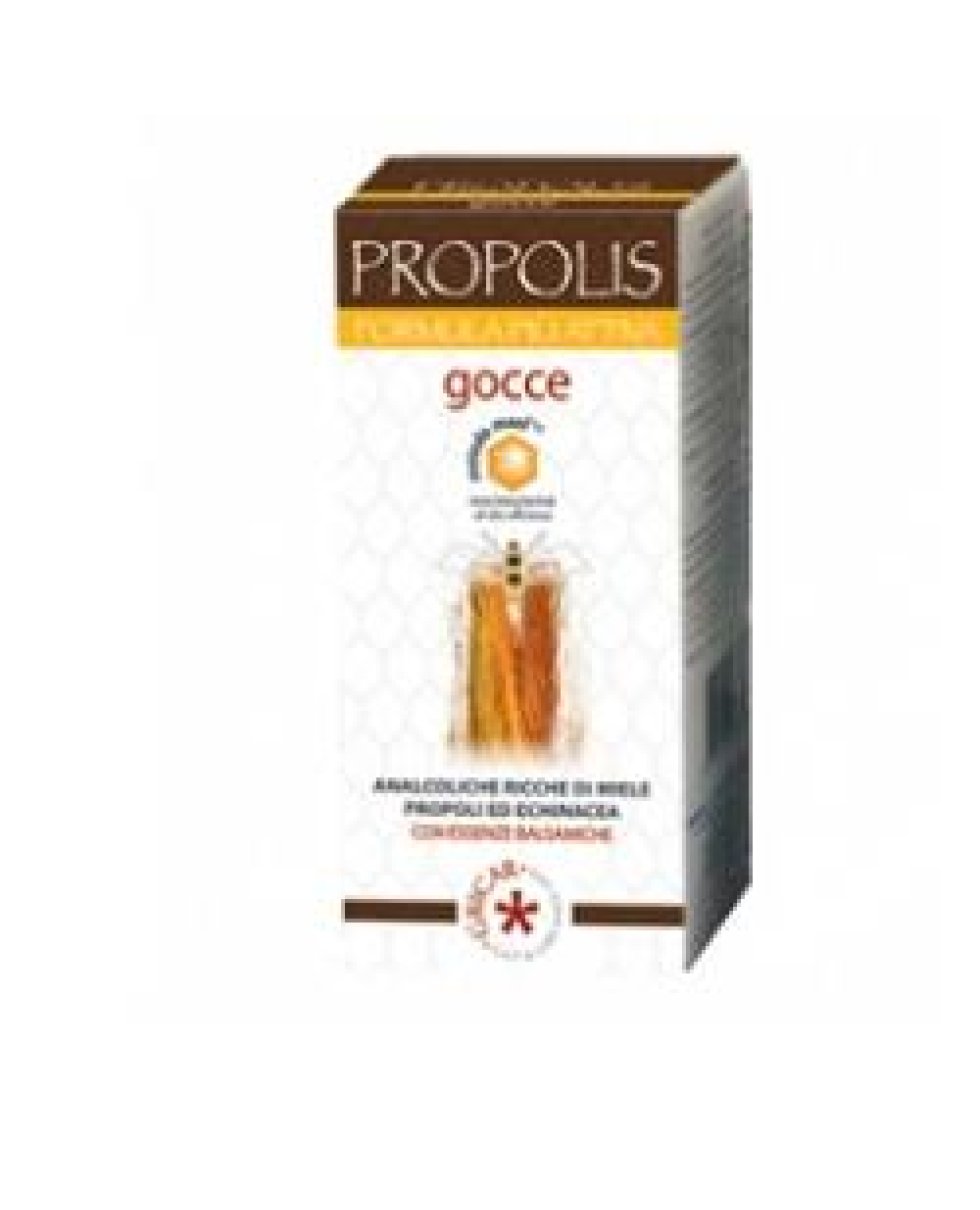 PROPOLIS E ANALCO BB 50ML GRIC