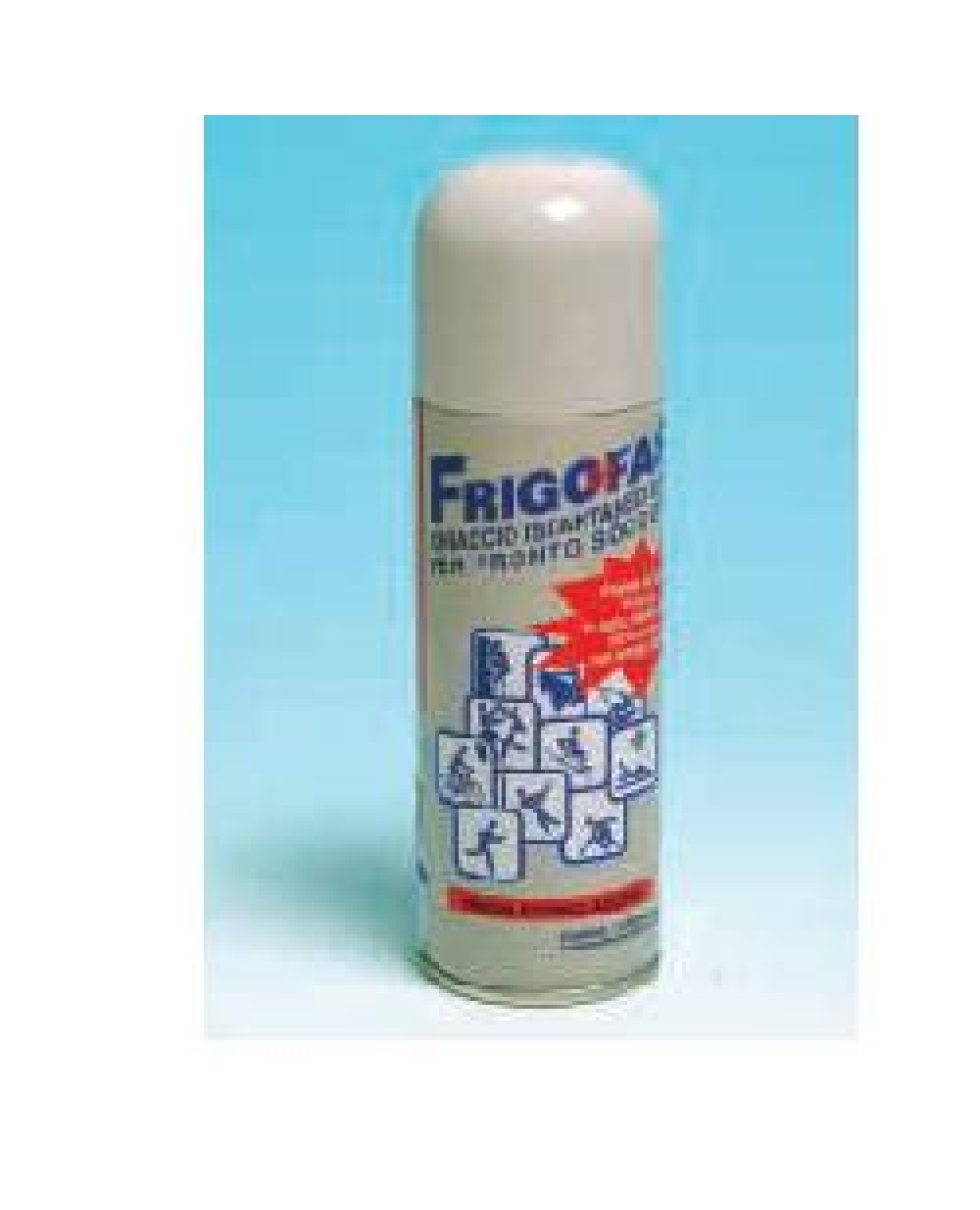 GHIACCIO SPR 400ML FRIGOFAST