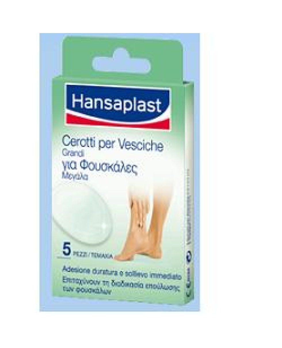 HANSAPLAST CER VESC GRANDI 5PZ