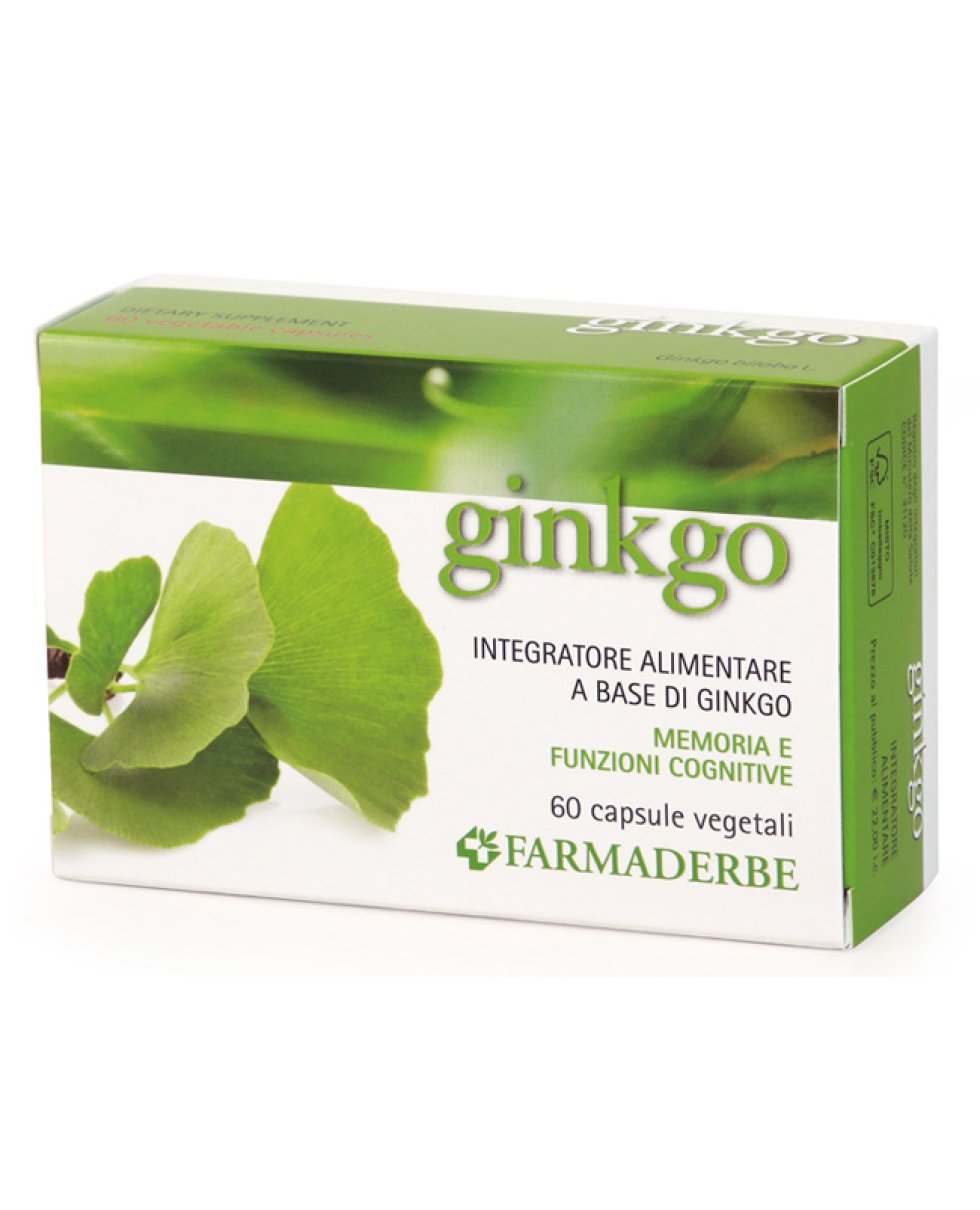 NUTRA GINKGO INTEGRAT 60CPS