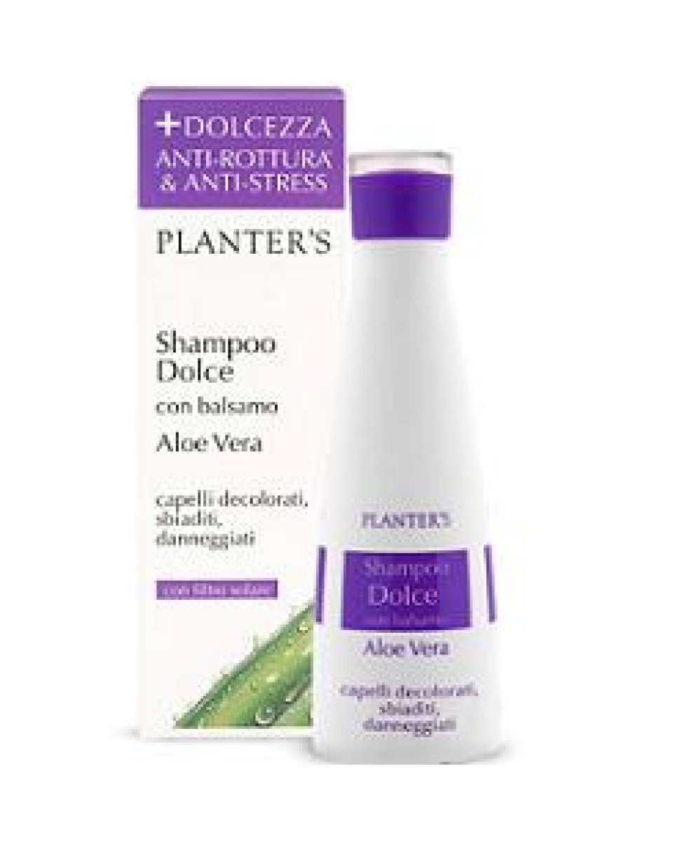 PLANTERS SH DOLCE ALOE VERA