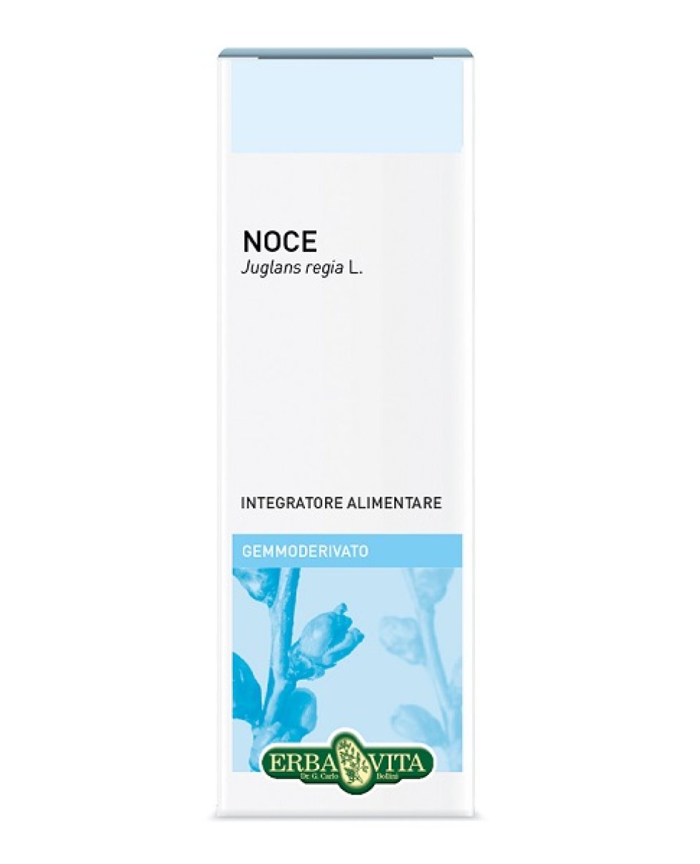 GEMMODERIVATO NOCE 50ML