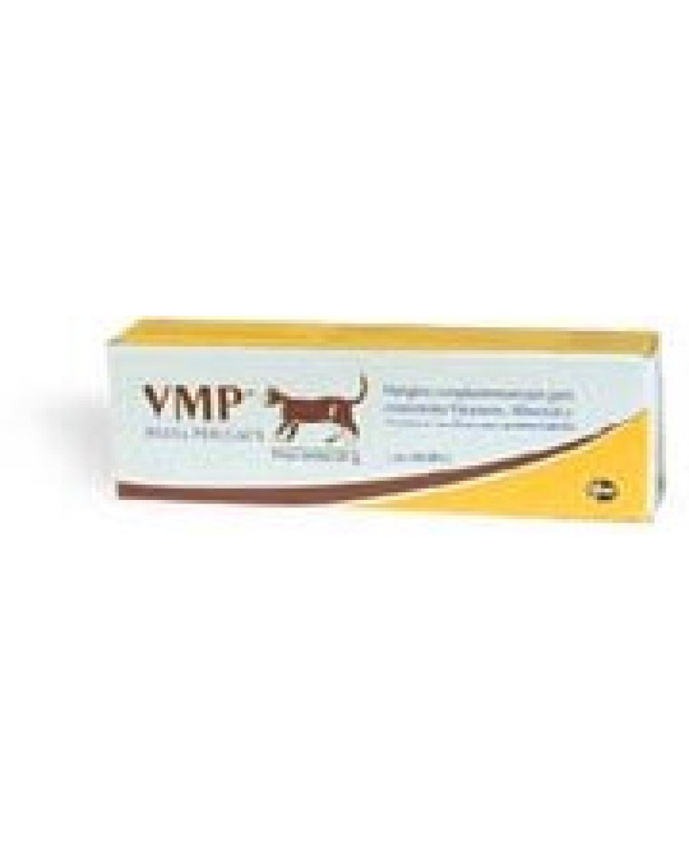 VMP-PASTA GATTI TUBO 50 ML