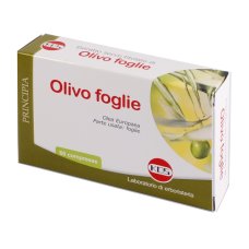 OLIVO FOGLIE ESTR SEC 60CPR