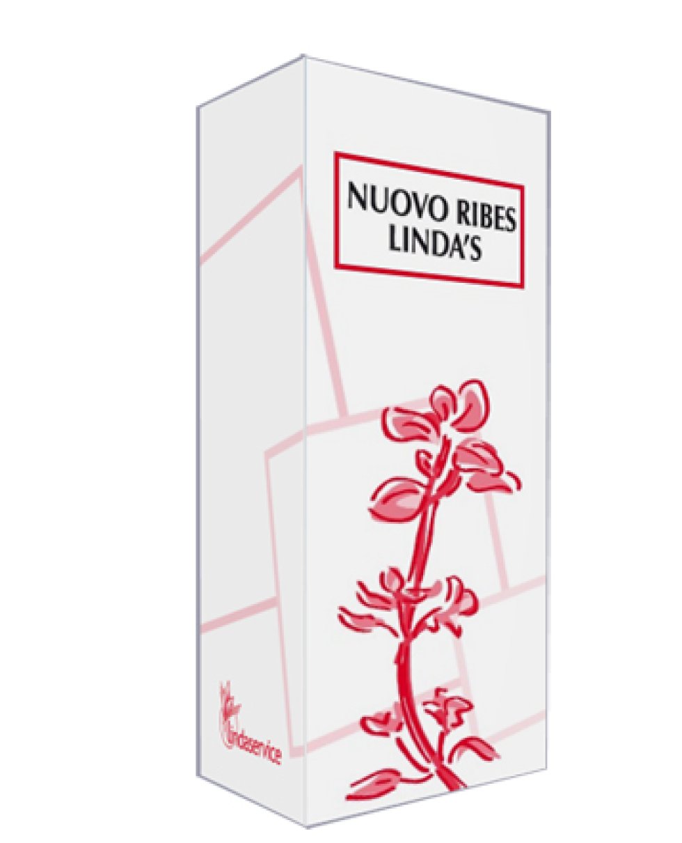 NUOVO RIBES IDROGL 50ML GT  LI