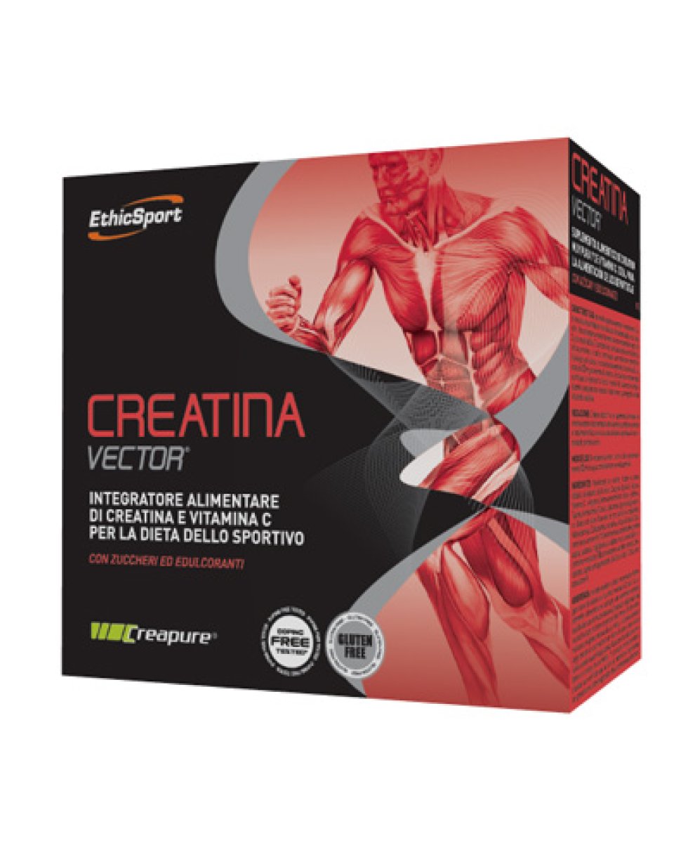 CREATINA VECTOR 20BUST 8G