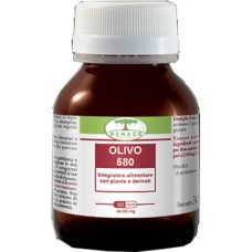 OLIVO 580 60CPS