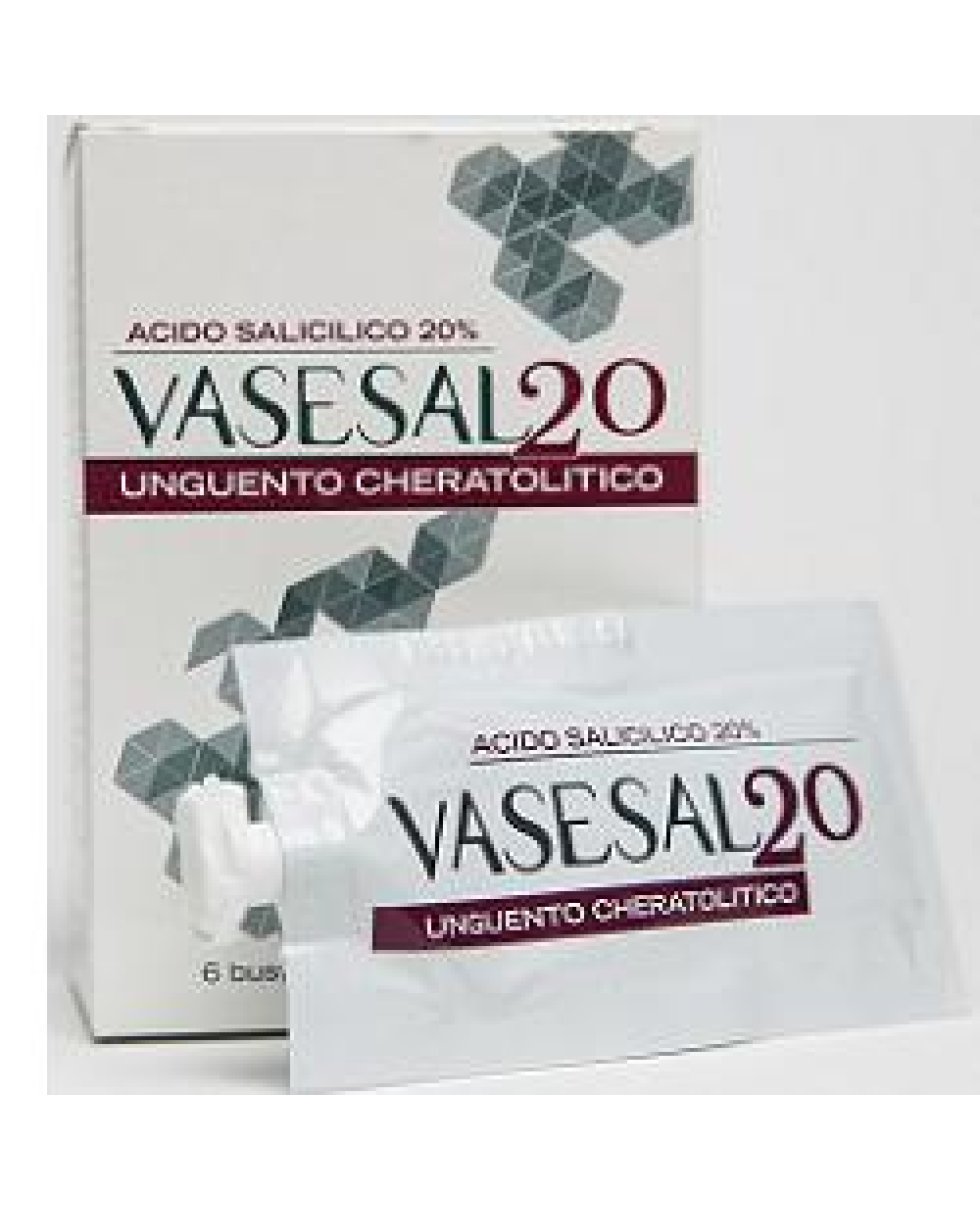 VASESAL 20 6BUST