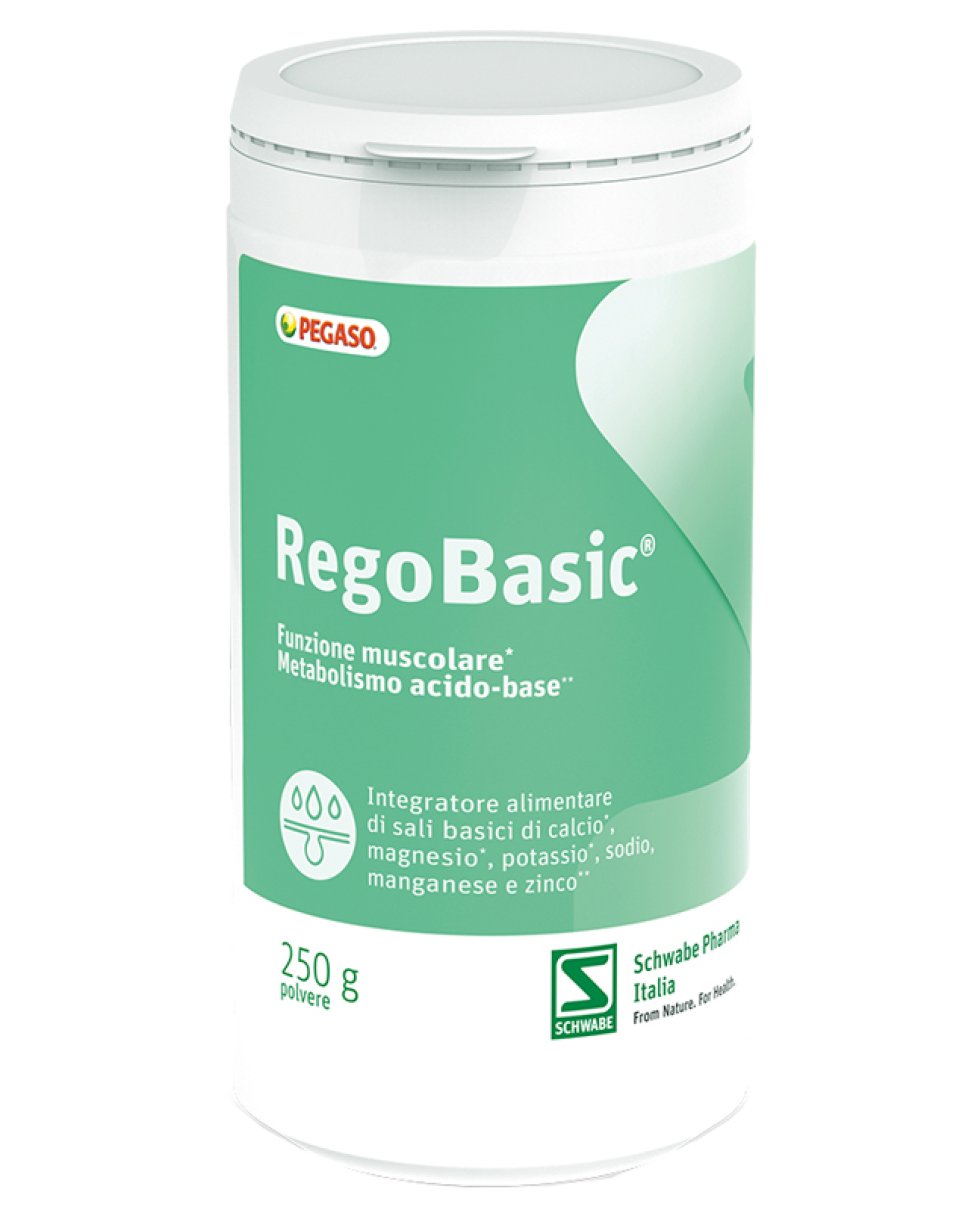 REGOBASIC POLVERE 250G