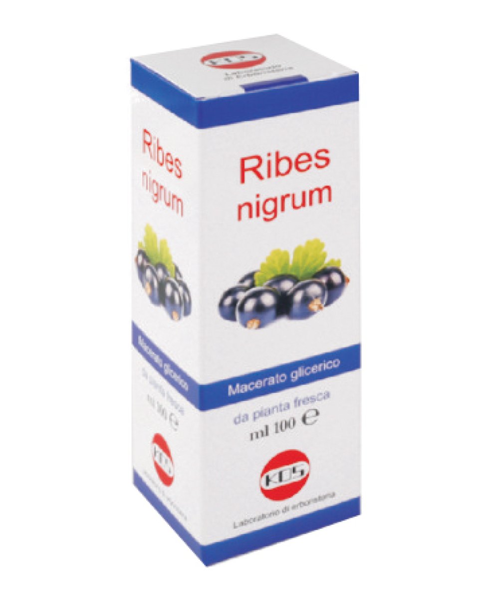 RIBES NIGRUM MG 100ML GTT KOS