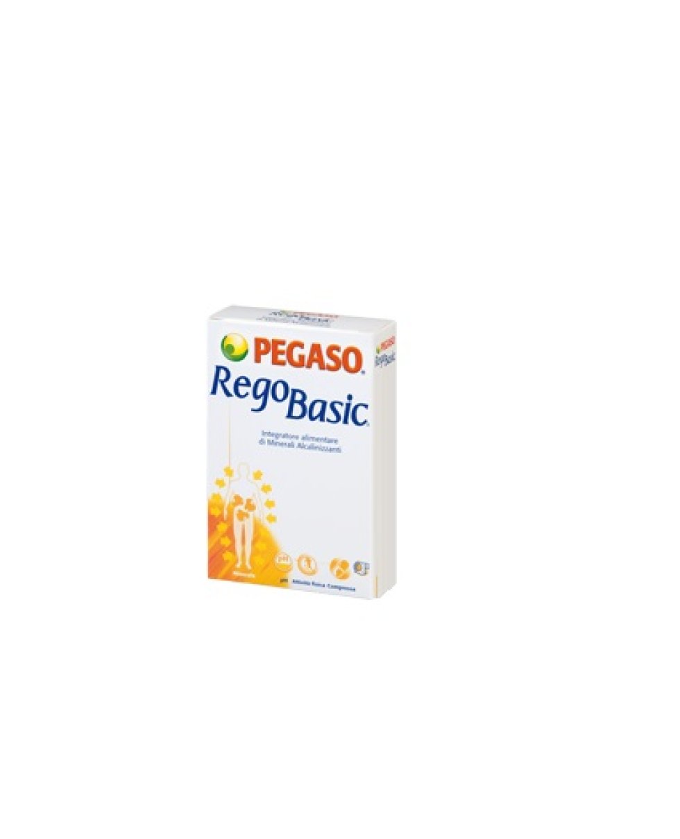 REGOBASIC 12BUST PEGASO