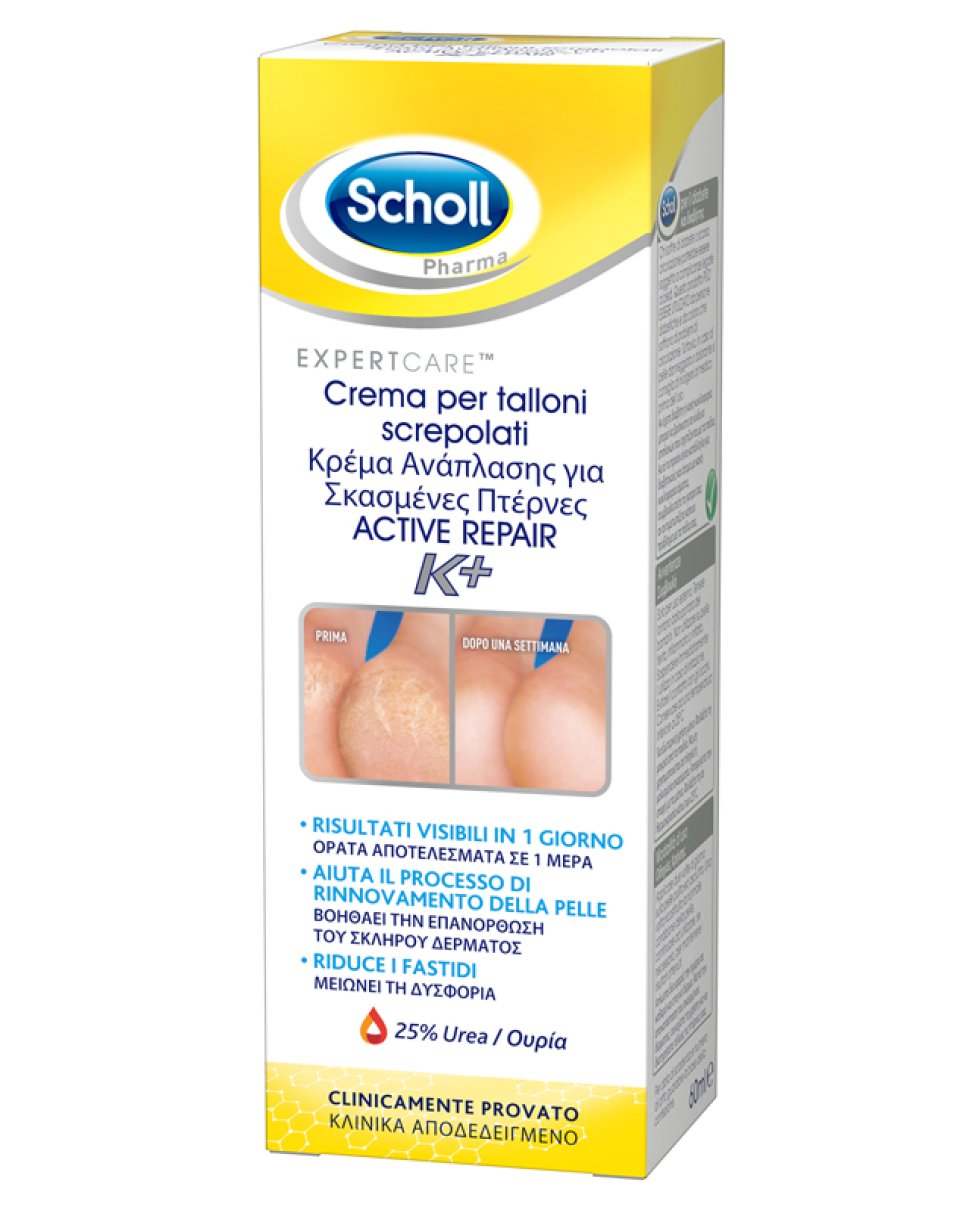 SCHOLLS CR TALLONI ACT REPAIR K+