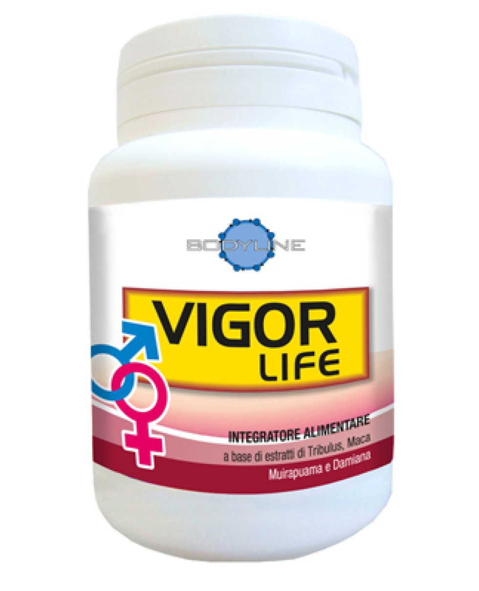 VIGOR LIFE 40CPS