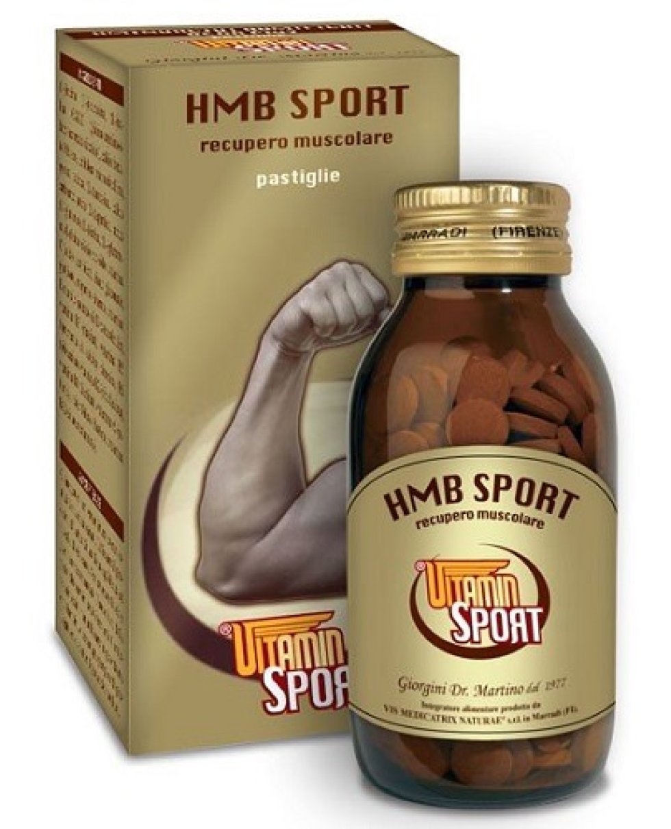 HMB SPORT VITAMINSPORT 90G PAS