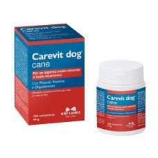 CAREVIT DOG MANGIME 100CPR