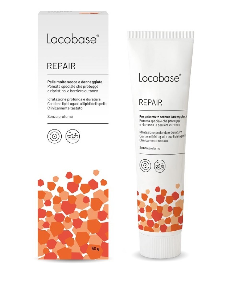 LOCOBASE-REPAIR  50G