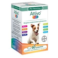 ATTIVO TABS 60TAV VET