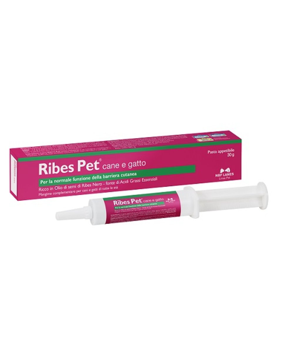 RIBES PET PASTA 30 G