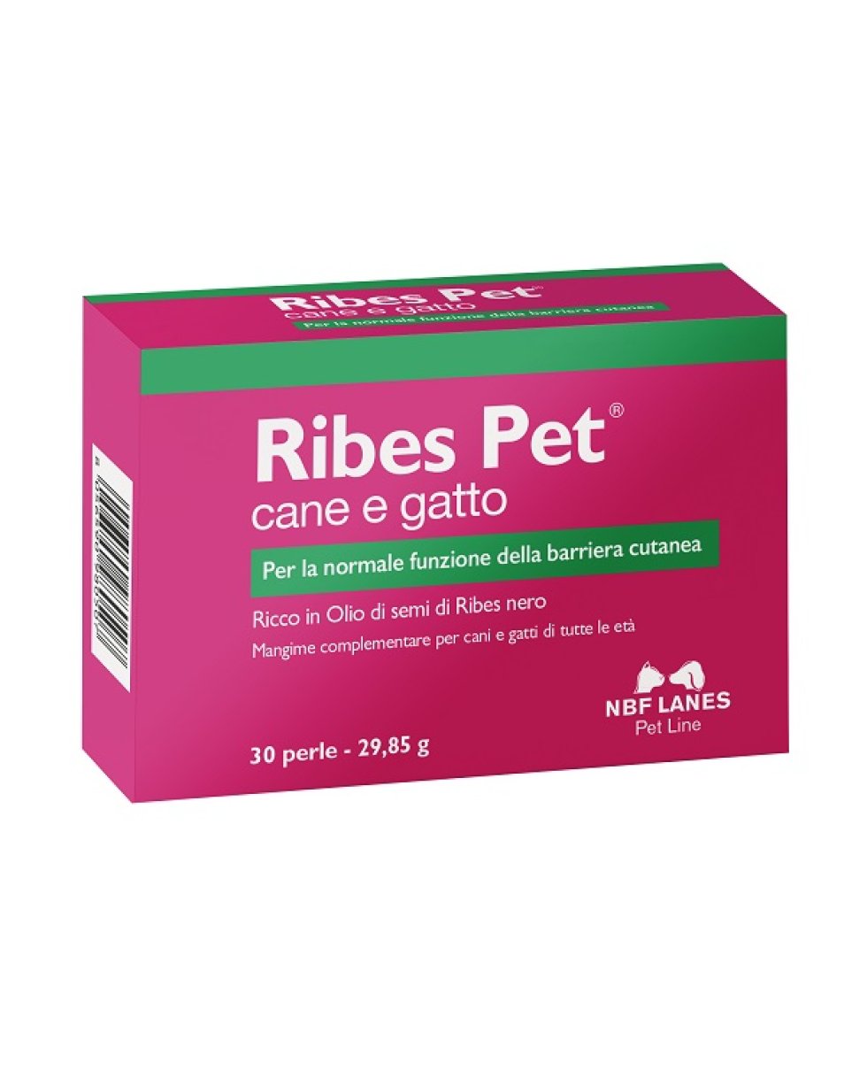 RIBES PET 30PRL