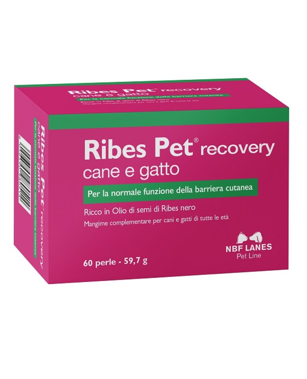 RIBES PET RECOVERY 60PRL