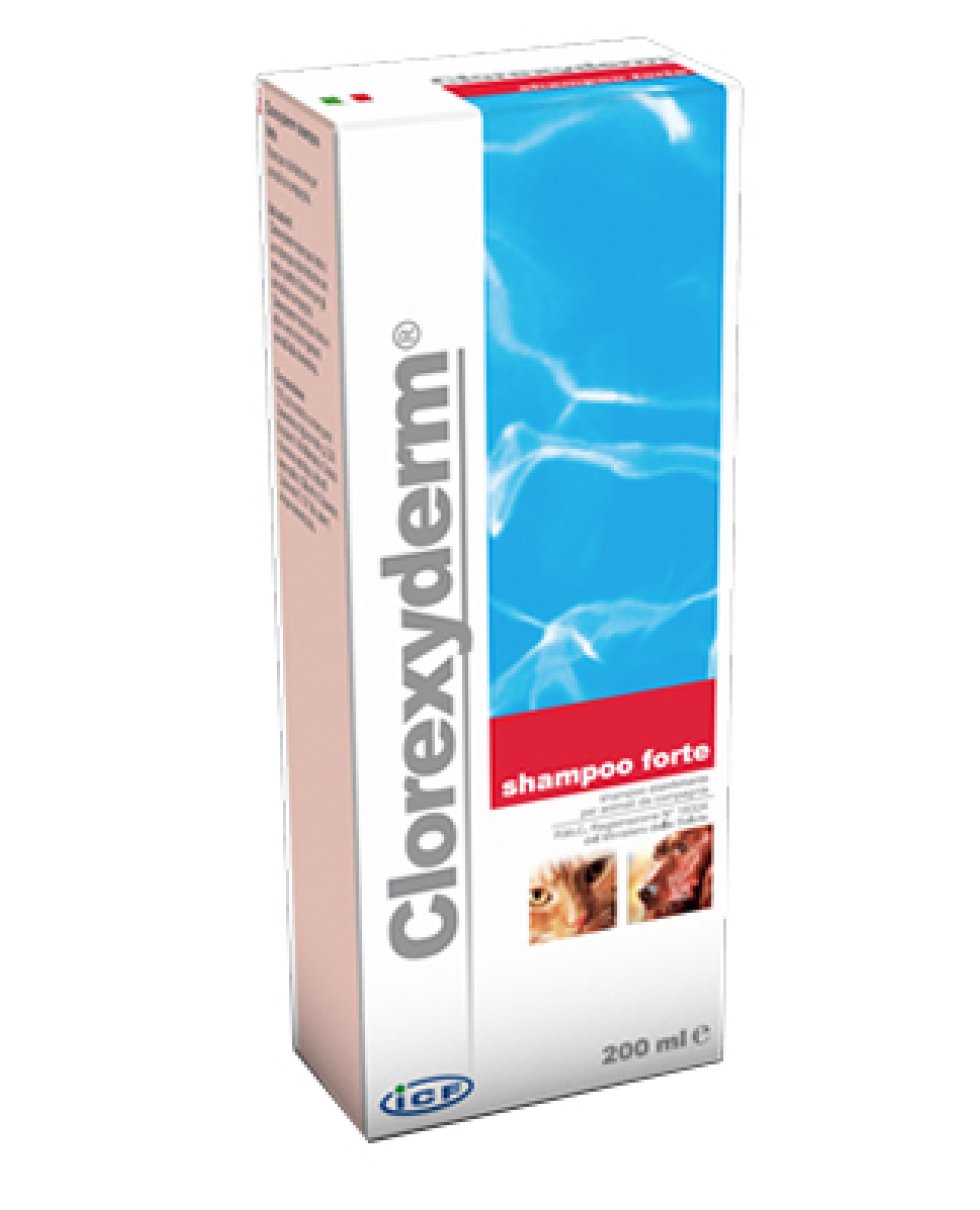 CLOREXYDERM SHAMP FTE 200 VET