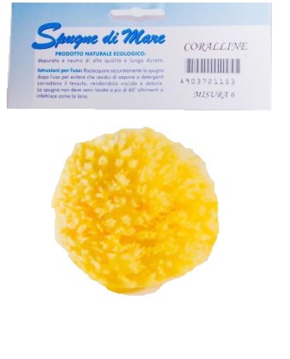 SPUGNA MARE NATURALE M