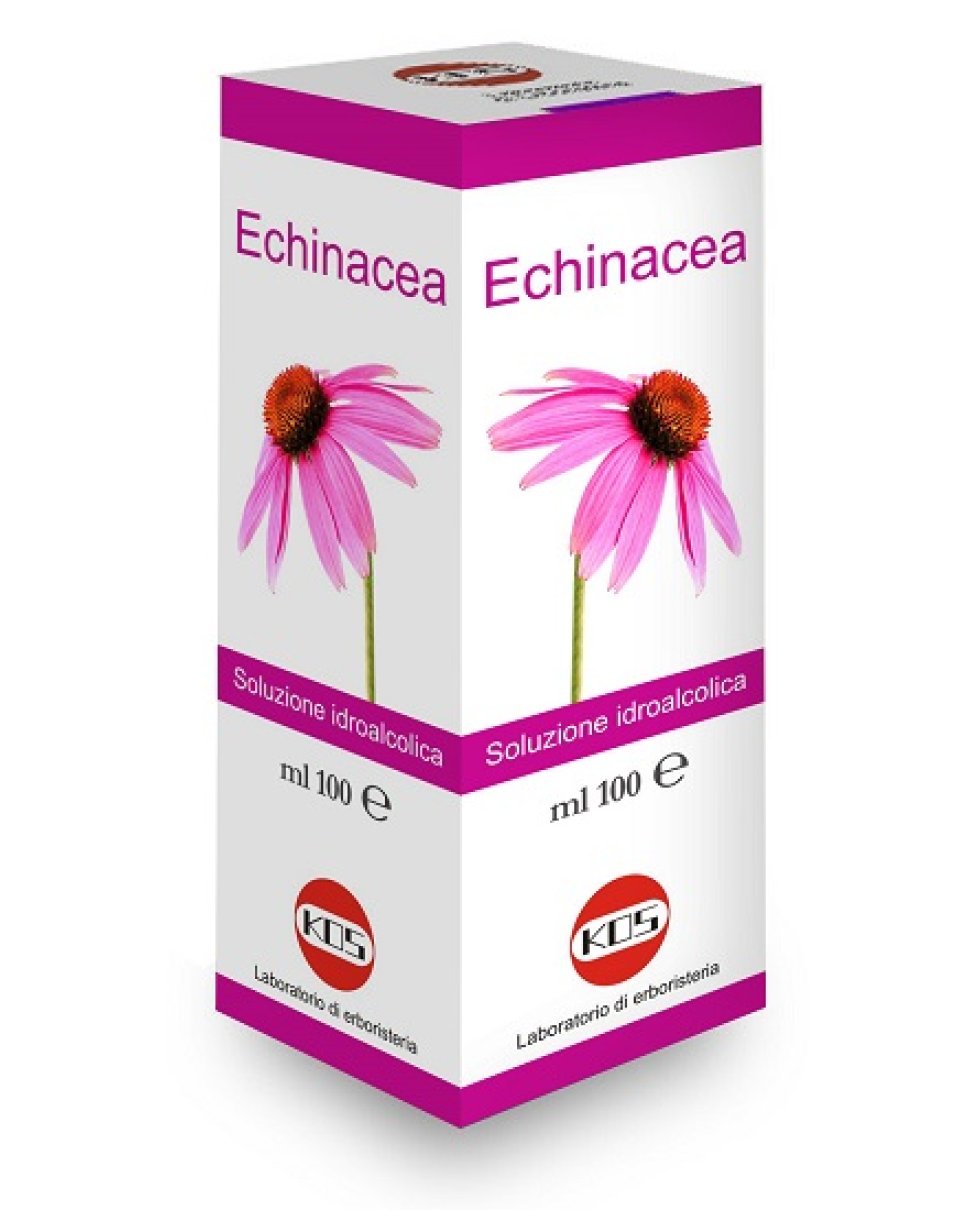 ECHINACEA SOL IAL PIANTA FR100