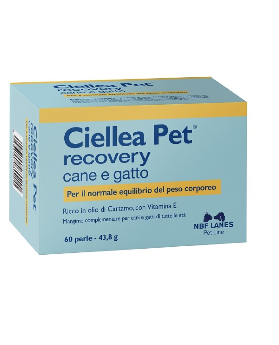 CIELLEA Pet 60 Perle