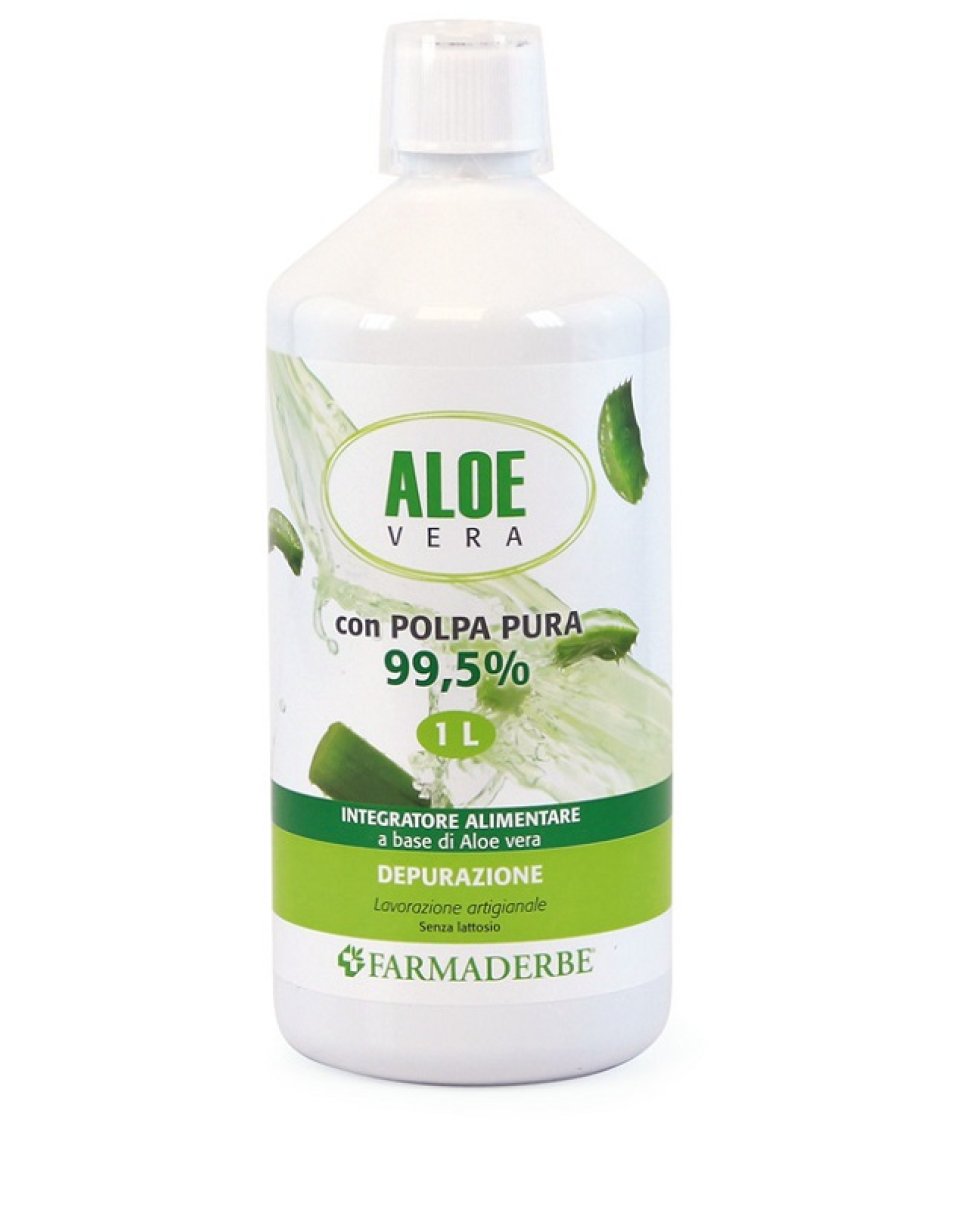 ALOE VERA SUCCO POLPA 1000ML